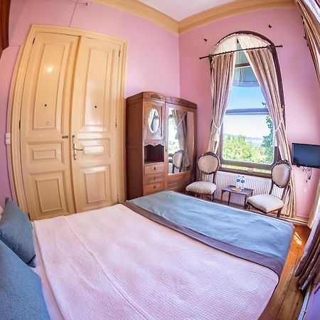 אדאלר Bueyuekada Anastasia Meziki History Mansion מראה חיצוני תמונה